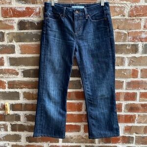 Joe’s Jeans “Muse” fit “Nico” wash